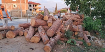 Kamyon virajı alamadı, tomruklar yola saçıldı