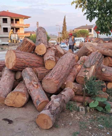 Kamyon virajı alamadı, tomruklar yola saçıldı