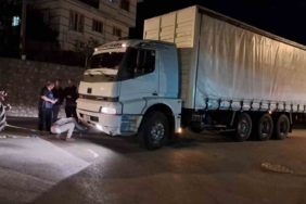 Kamyonun çarptığı 350 kiloluk domuz telef oldu