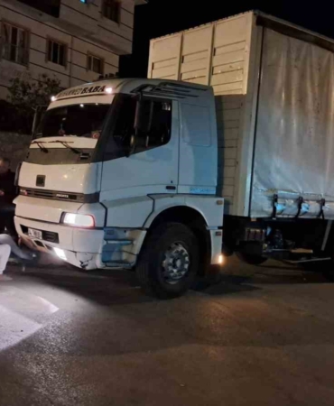 Kamyonun çarptığı 350 kiloluk domuz telef oldu