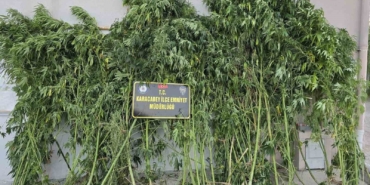 Karacabey’de uyuşturucu operasyonunda 1 tutuklama