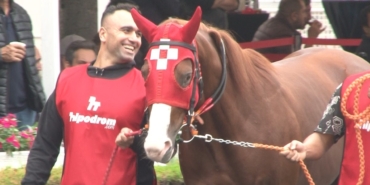 Kendilerinden önce fiyatları koştu, safkan 30 taydan sadece 3’ü satıldı