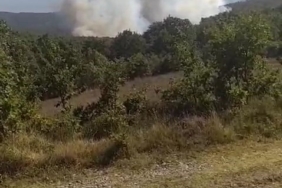 Kocaeli’de orman yangını