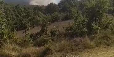 Kocaeli’de orman yangını