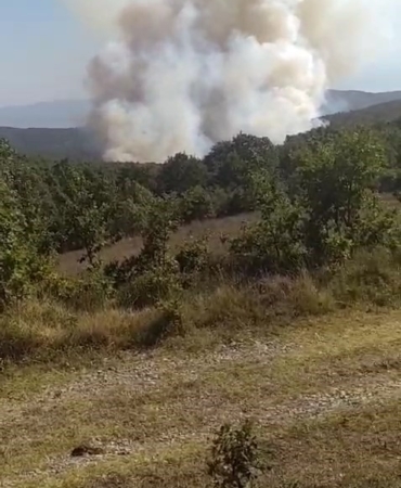 Kocaeli’de orman yangını