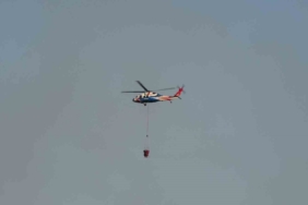 Kocaeli’deki orman yangını 3 saatte kontrol altına alındı