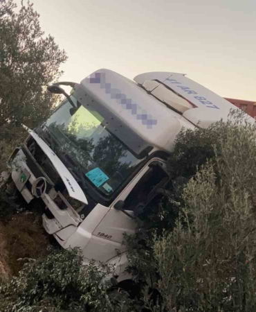 Kontrolden çıkan tır ağaçlık alana daldı, sürücü yaralandı