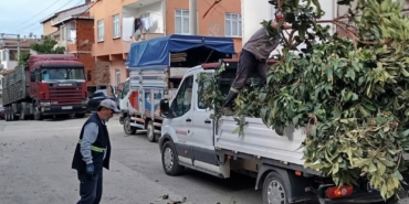 Körfez’de yeşil alanlara bakım
