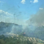 Ormanlık alanda yangın