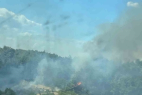 Ormanlık alanda yangın