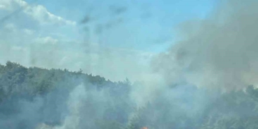 Ormanlık alanda yangın