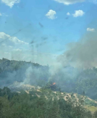 Ormanlık alanda yangın