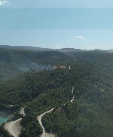 Ormanlık alandaki alevler korkuttu
