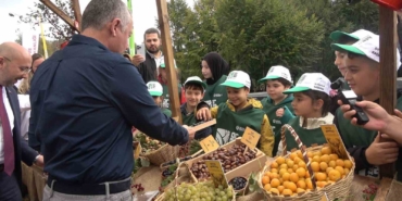Ormanya’da üretilen kızıl geyikler doğaya salındı