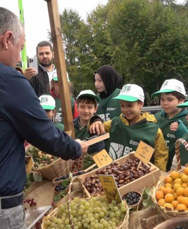 Ormanya’da üretilen kızıl geyikler doğaya salındı