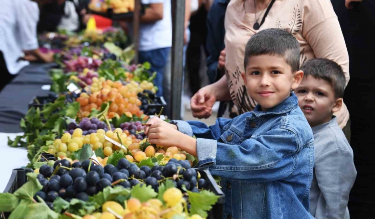 Osmangazi’nin en güzel üzümleri seçildi