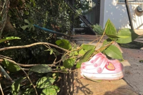 Otomobil evin bahçesine daldı: Anneanne ve 2 torunu yaralandı