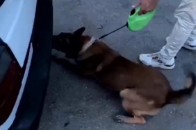 Otomobilin yedek lastiğinden uyuşturucu madde çıktı