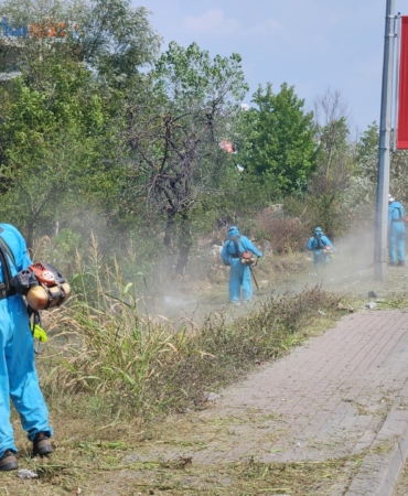 Park ve bahçelerde sonbahar temizliği