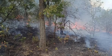 Pehlivanköy’de orman yangını söndürüldü