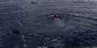 Pendik’te denize düşen kadın son anda kurtarıldı