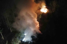 Sakarya’da ağaçlık alanda korkutan yangın