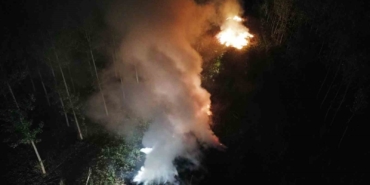 Sakarya’da ağaçlık alanda korkutan yangın
