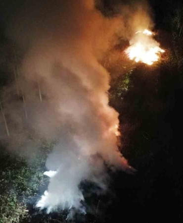 Sakarya’da ağaçlık alanda korkutan yangın