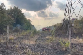 Sakarya’da boş arazide yangın
