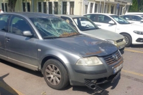 Sakarya’da çürüyen ağaç devrildi, 4 araç hasar gördü