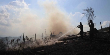 Sakarya’da korkutan yangın: Ahırda başladı, ormanlık alana sıçradı