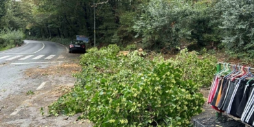 Sarıyer’de kökünden kopan ağaç araçların üzerine devrildi, sürücüler korku dolu anlar yaşadı