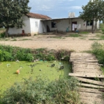 Sulama kanalına düşen 2 yaşındaki çocuk hayatını kaybetti