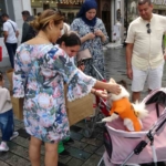 Taksim Meydanı’nda bebek arabasında gezdirilen köpek ilgi odağı oldu