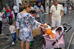 Taksim Meydanı’nda bebek arabasında gezdirilen köpek ilgi odağı oldu
