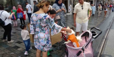 Taksim Meydanı’nda bebek arabasında gezdirilen köpek ilgi odağı oldu
