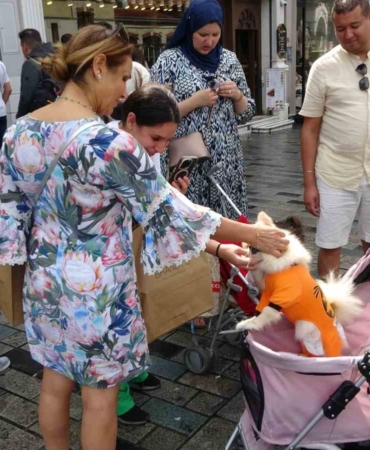 Taksim Meydanı’nda bebek arabasında gezdirilen köpek ilgi odağı oldu