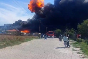 Tekirdağ’da fabrika yangını