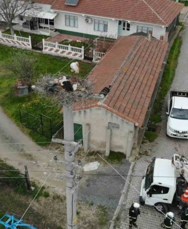 Termal kameralı dronlar aracılığıyla leylek yuvalarında bakım başlatıldı