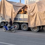 Tonlarca kütük yola devrildi, öğretmen bir adımla ölümden kurtuldu