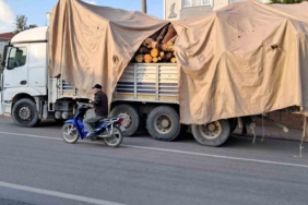 Tonlarca kütük yola devrildi, öğretmen bir adımla ölümden kurtuldu