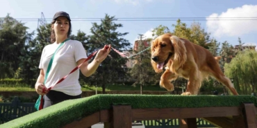 Türkiye’nin en kapsamlı Köpek Eğitim Merkezi Ümraniye’de