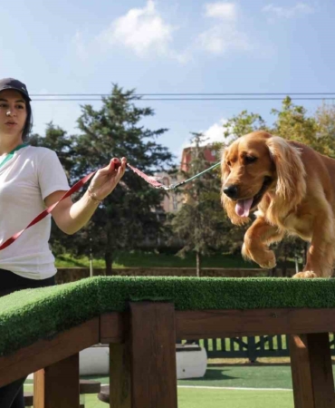 Türkiye’nin en kapsamlı Köpek Eğitim Merkezi Ümraniye’de