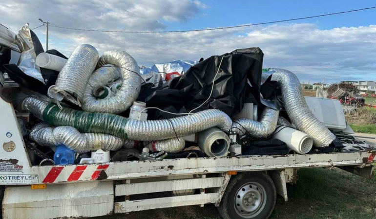 Uyuşturucu operasyonunda skunk serası ortaya çıkarıldı