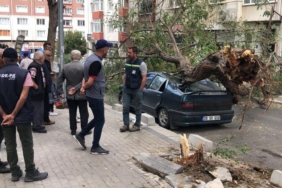 Üzerine ağaç devrilen otomobil hurdaya döndü: O anlar kamerada