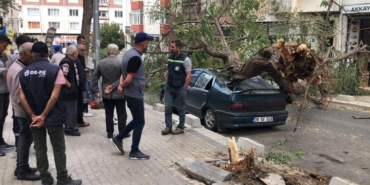 Üzerine ağaç devrilen otomobil hurdaya döndü: O anlar kamerada