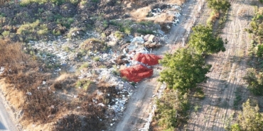 Verimli topraklarda domates krizi: Domates tarlada kaldı