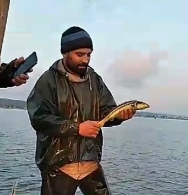 "Vira bismillah" diyen balıkçının ağına nesli tehlike altında olan balık takıldı