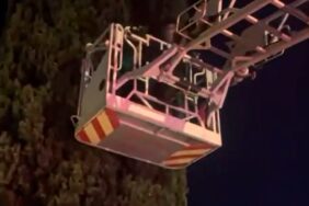 Yalova’da ağaçta mahsur kalan çocuğu itfaiye kurtardı