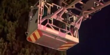 Yalova’da ağaçta mahsur kalan çocuğu itfaiye kurtardı